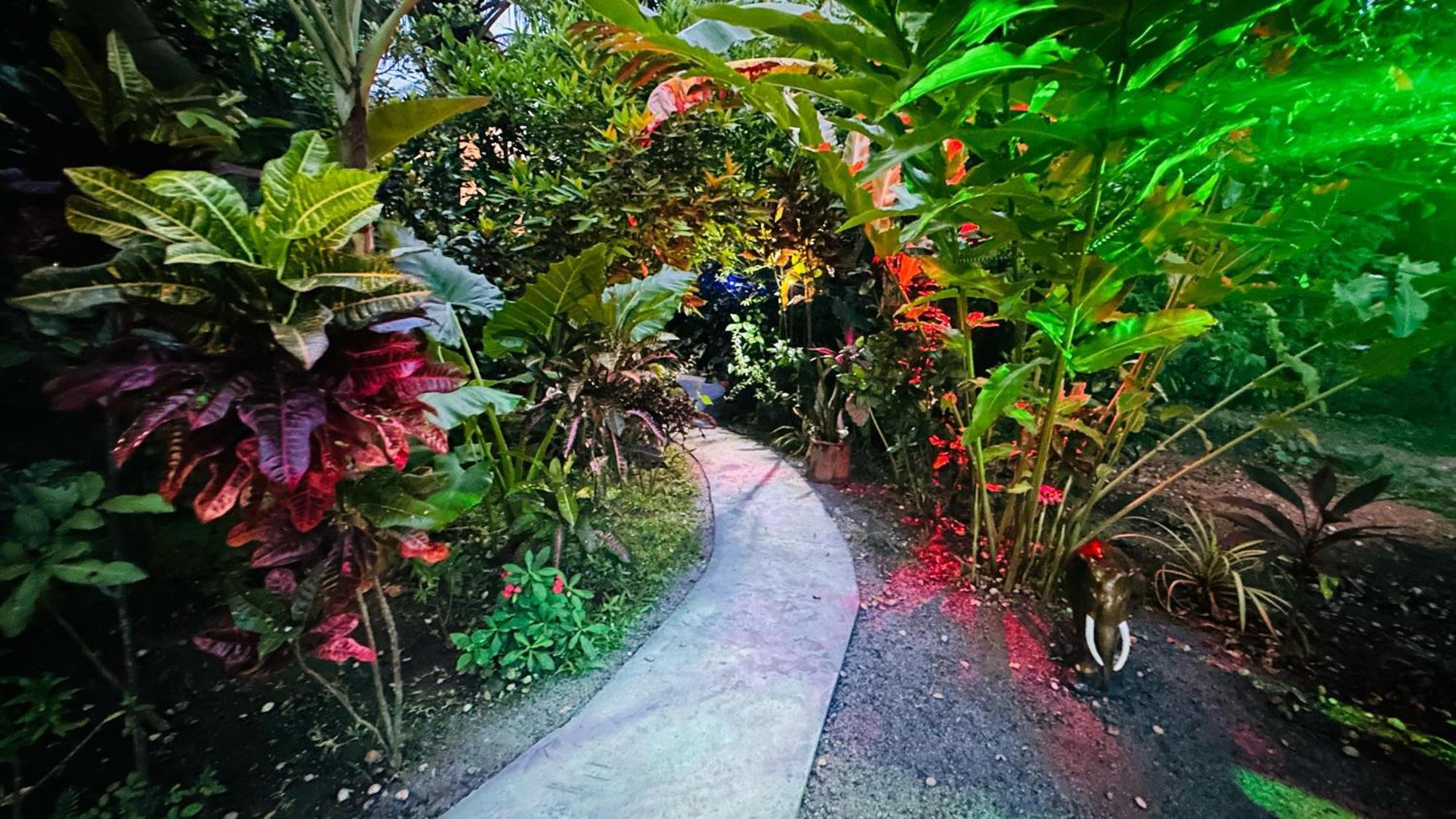 Ama Eco Lodge シギリヤ エクステリア 写真